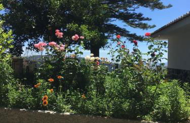 CASA PACA PEREA - Foto 15