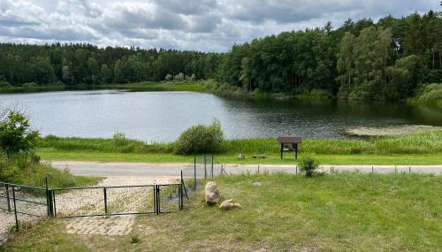 Stodoła i Stolarnia - Foto 2