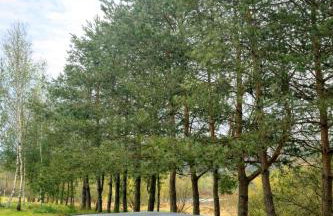 Przystanek Mrzygłód - domki z jacuzzi i sauną - Foto 3