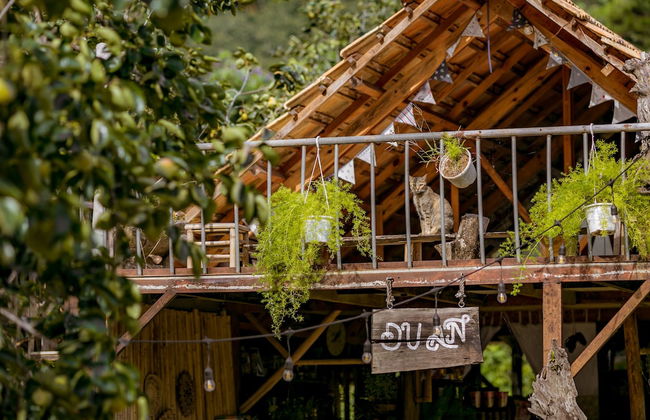 Du An Garden Retreat Forest - Photo 13