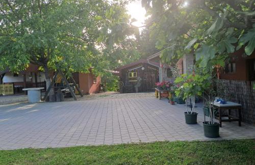 Paun - Photo 38
