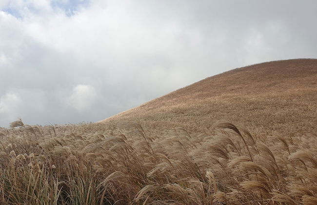 Jeju Ollero - Foto 60