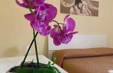 Aria di Casa - Foto 6