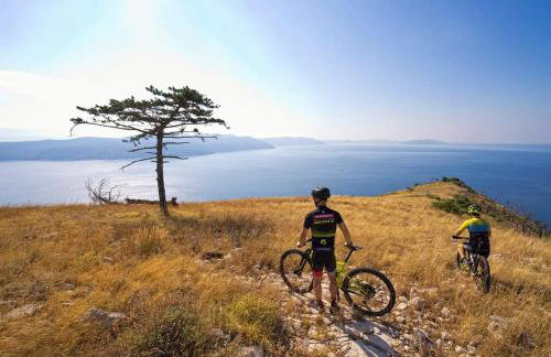 Apartman EN - Foto 72