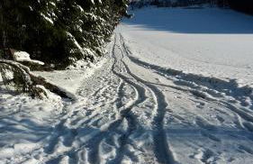 Ferienwohnung am Patenberg - Foto 12