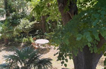 Gîte Citronnier Authentique et paisible - Foto 8