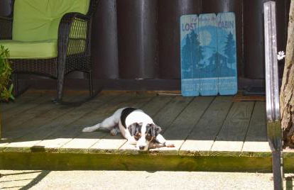 1 Sweet Retreat - Photo 13