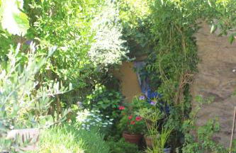 Casa Violeta - Foto 28