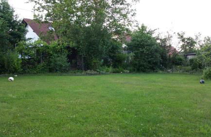 Ferienwohnung Auszeit - Foto 12