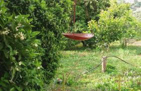 Mouragio Apartments - Foto 27