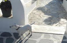 Luxurious Palace Marina Alimos - Foto 54