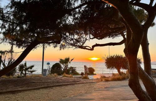 Appartement 3 chambres, piscine, 50 m des plages - Foto 37