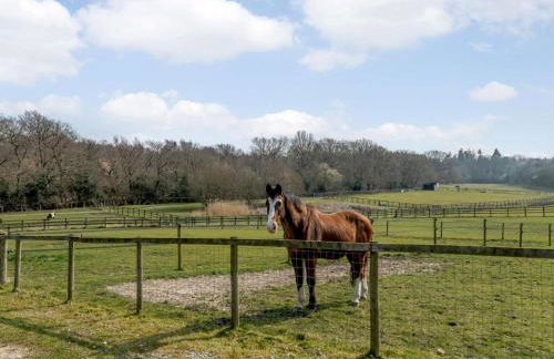 1 Bed in Beaulieu Heath oc-nfl87 - Foto 16