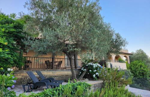 Casale Sant'Egidio - Lago di Bolsena - Foto 2