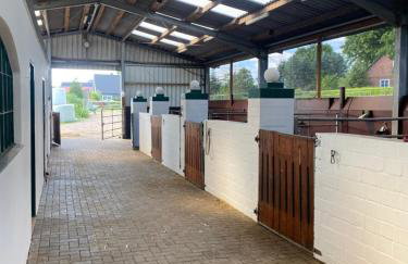 Hof Eichendiek Time Out Village - Foto 26