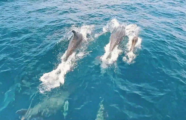 Villa Tropical Bay - Foto 42