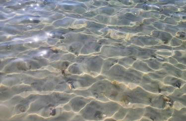 Stone's throw from beach and forest, stunning country walks - Foto 24