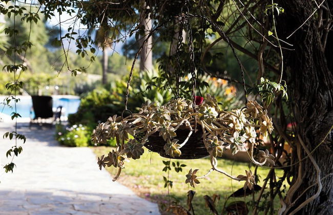 Villa Finca Estel - Foto 38