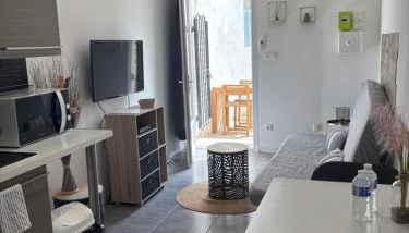 Studio cosy avec jardin proche centre et plage - Foto 2