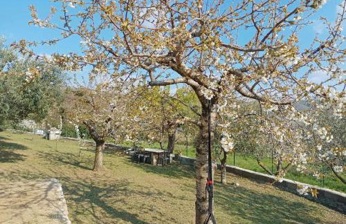 Dimora Laura - Romantico con stufa a legno - Foto 18