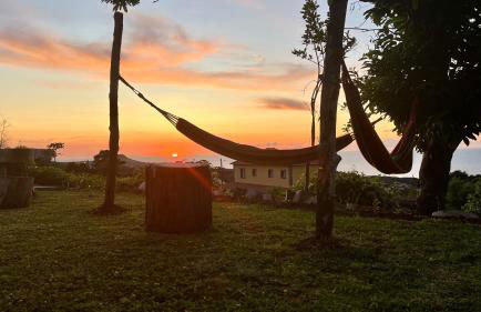 Biscoitos Top View - Photo 14