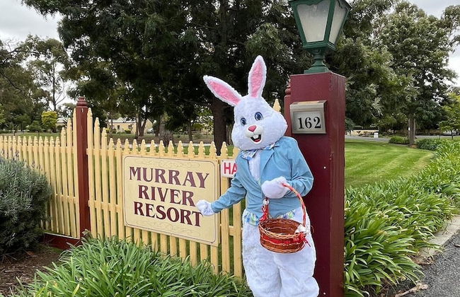 Murray River Resort - Photo 50