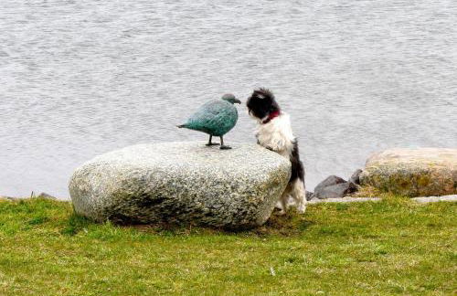 Hausboot Lilla Lina - Photo 25