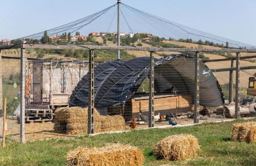 Bio Fattoria Mula D'Oro - biofattoriamuladoro it - Organic Food, Nature & Relax - Foto 45