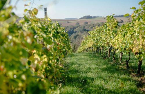 Overkamps - das Ferienhaus Odernheim - Foto 19