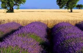 Spacieuse Dépendance Duplex 50 M2 Classé 3 étoiles - Foto 29