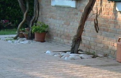 Locanda Antico Fighèr - Foto 35