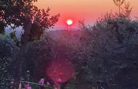 VILLA TOSCANA - PISCINA PRIVATA E JACUZZI -CERTALDO - Foto 31