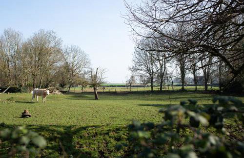 Maison à Saint-Blimont - Foto 18