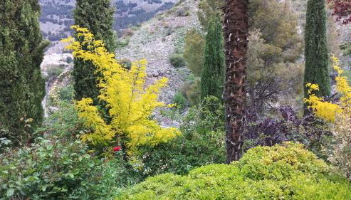 La Casita con piscina privada de tres dormitorios - Photo 4, Garden