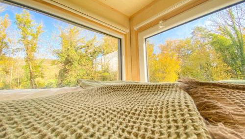 Bois aux Cheirilles - 15min Murol - Puy de Dome - Foto 2