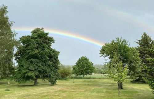 Ferienwohnung an der Elde - Foto 29