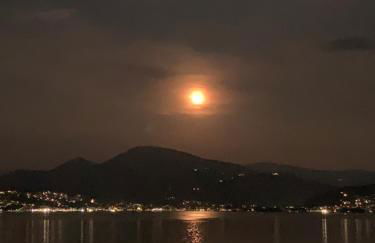 Franziska's Place - Foto 46