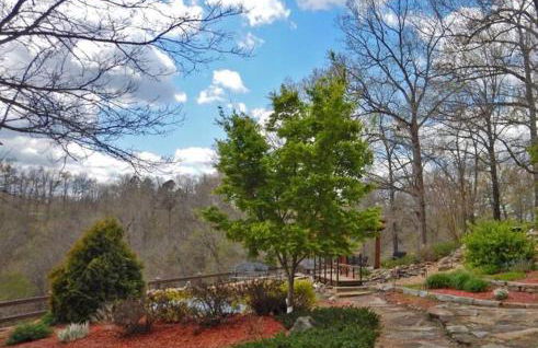 Buffalo River Lodge St Joe AR - Foto 13