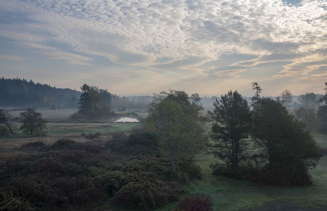 Raintree's Sandcastle - Foto 32