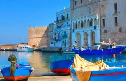 Stella Bianca - Foto 48