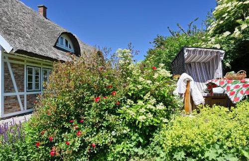 Landhaus Vilmnitz - Wohnung 8 - Foto 46