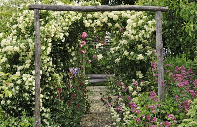 La Traversina - Agriturismo di Charme - Foto 37