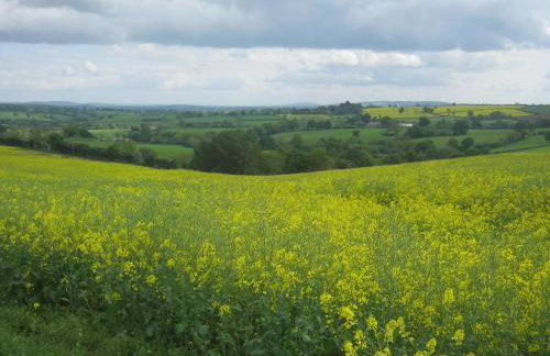 The Stables - Foto 14