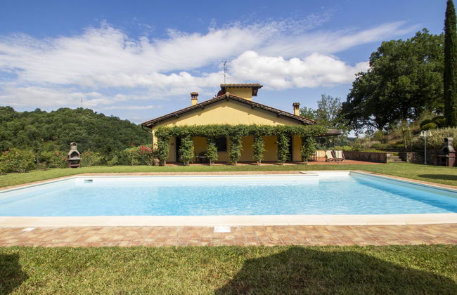 Corbezzolo - Foto 31