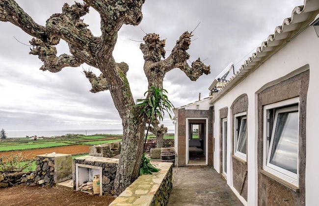 Casa dos Cal os in S o Mateus da Calheta - Photo 24