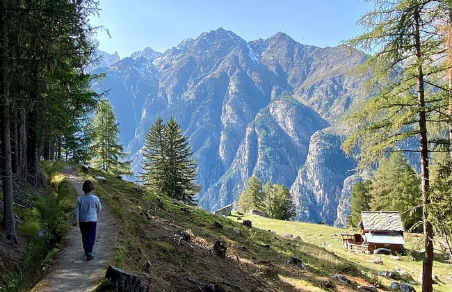 Chalet Jungtalblick Chilcheri - Foto 26