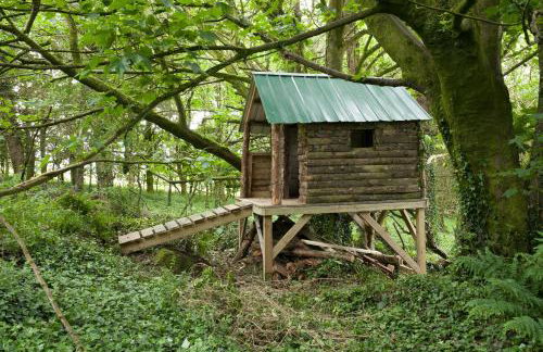 Clonaslee House - Foto 27