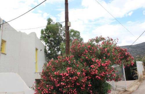 Villla Giallo - Photo 10