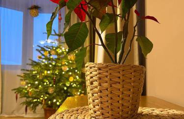 Dom pod Jaworem - Foto 47