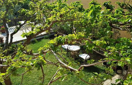 Villa Filiza - Photo 25